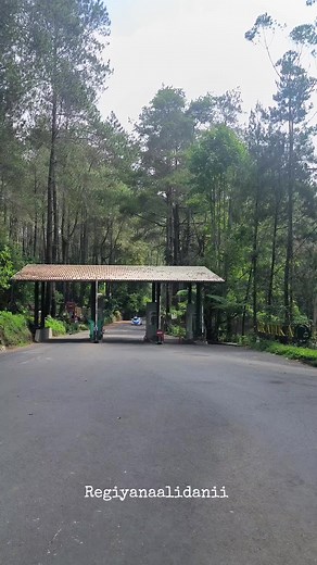 Exploring Orchid Forest Cikole with Asyrof Bus Convoy