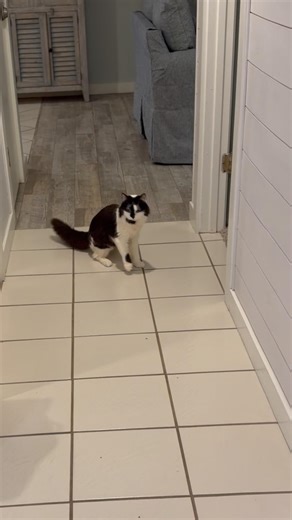 Phoebe says even the most famous models fall sometimes 💛