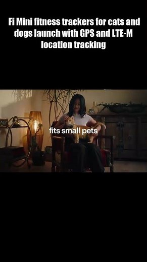 This Tiny Device Could Save Your Pet’s Life 😱 | Fi Mini GPS Tracker Review