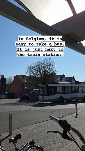 150K views · 207 reactions | If your house is reachable by bus. No need to buy a car. But make sure you can work from if the train and bus are on strike! #livinginbelgium #delijn #nmbs #travelblogger #travelphotography #travelling #commuter #commuterlife #commuterchallenge #bustravel #trains #belgium #tourists | Gardening & Mainecoon cat zone | Facebook