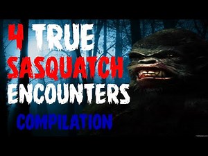 4 TRUE SASQUATCH encounters compilation