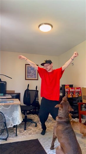 Call Me Maybe - Carly Rae Jepsen | just dancing with my dogs 🐾🕺#shorts