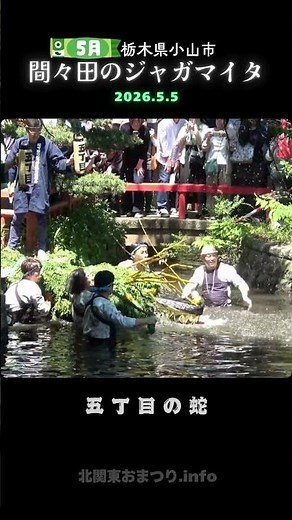 #MamadaNoJagamaita 2026 Water Drinking Ritual: The 5th District Snake #OyamaCityTochigi
