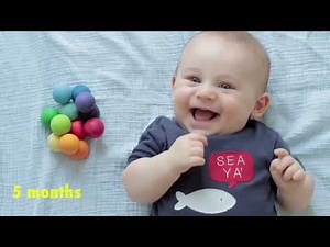 The Stages of Human Development