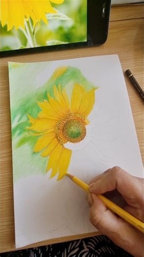 Drawing with Colored Pencils: The Ultimate Progression Guide