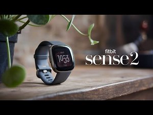 Fitbit Sense 2 Review: Health & Fitness Tracker or Overhyped?