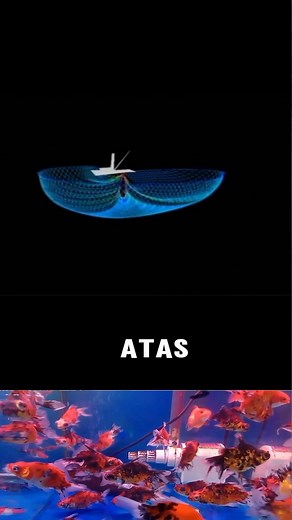 76K views · 438 reactions | Metode nelayan pukat cincin #reels | Airs Kita Channel | Facebook