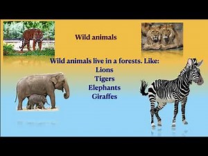 Animals Around Us Class 1