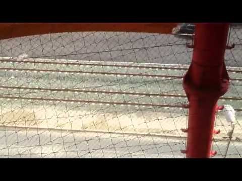 Anti-pigeons : Pose de filets anti-pigeons sur une structure complexe