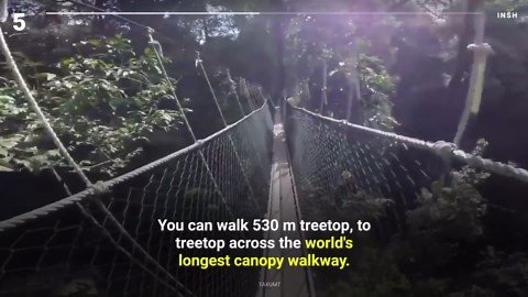 The Top 10 Craziest Bridges Around the Planet