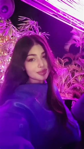 Ayesha Takia: The Rise of a Bollywood Star