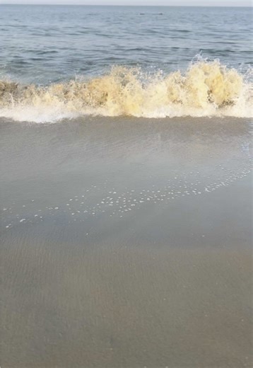 hellobellfamily on TikTok