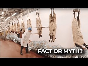 🐑 How Wool Is Made | Full Process