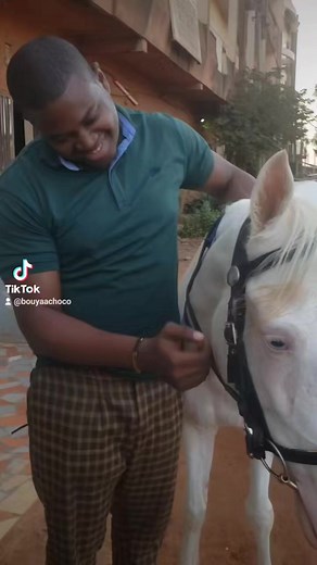 Cheval 🐎 🐴 🎠 🏇 | Choco Communication