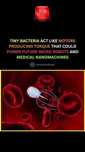 Bacteria create natural spinning force that scientists can harness #Science #NanoTechnology #viral