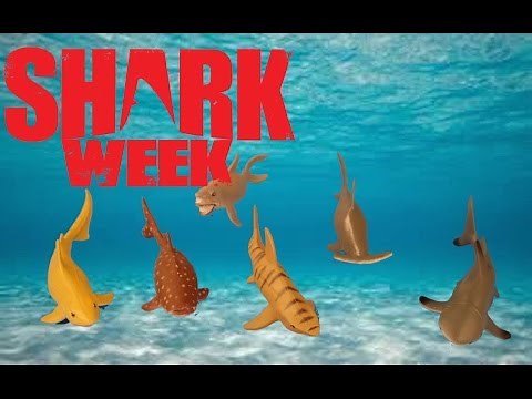 Shark Week! Shark Collection Aquatic Collection by Wild Republic