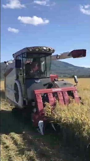 Unleashing the Power of Food: Self-Propelled Rice Harvester Revolutionizing Agriculture!