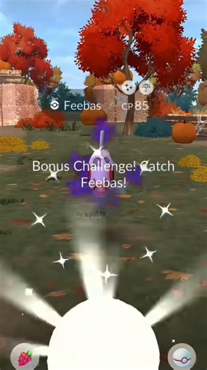 Pokemon go Shiny Shadow Feebas Catch #shorts #viralshorts