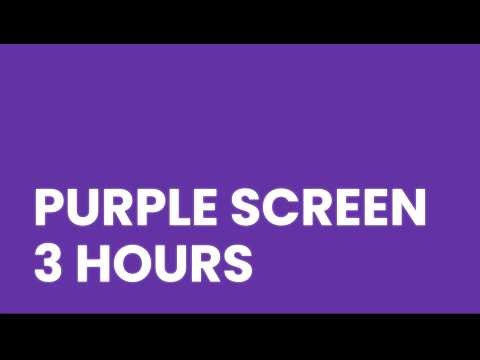 Pantone 2597 C Purple Screen | 3 Hours | Solid Color Background 4K