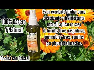 Receta Spray de Caléndula casero y natural (remedios casero)
