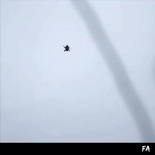 Carving the FA Live Pintail Floaters #decoys #pintail #duckdecoys #hunting #duckhunting #decoy