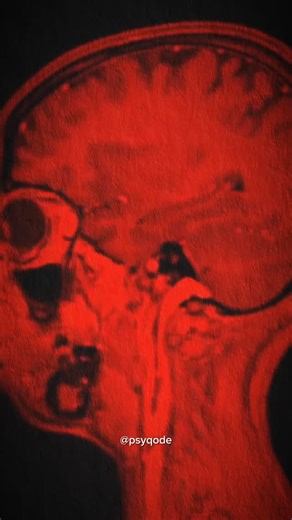 psyqode on Instagram: "You were taught to read. Not to remember. Check 🔗 Link in Bio Follow @Psyqode for more #mindpsychology #mindtricks #psyqode"