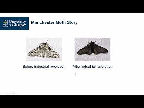 014 - Genetic Algorithm： A First Introduction