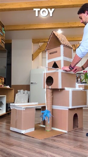Purr-fect Playtime! 🐾 Create a Cozy Cat Castle from Cardboard! 🏰