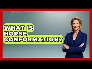 What Is Horse Conformation? - The Horses Stable