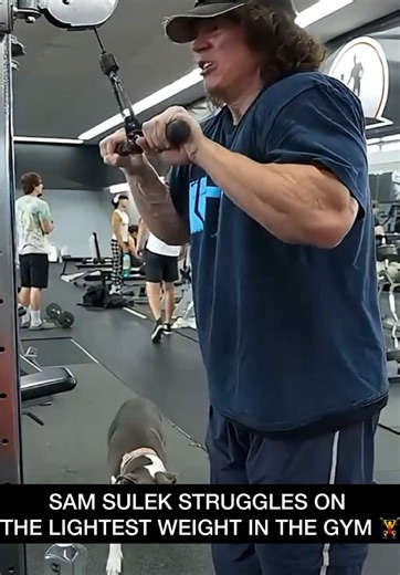 Man’s veins popping, soul leaving his body, and the dog couldn’t care less #SamSulek #GymMoments #UKHumour #StruggleIsReal #WhatIsHappening 💪🐶
