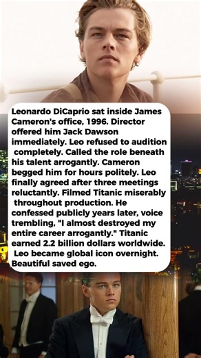 Leonardo DiCaprio Refused to Audition for Titanic—James Cameron Begged Him 1996