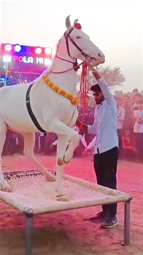 Chunni me chunni me 😱😱#shorts