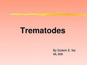 PPT - Trematodes PowerPoint Presentation, free download - ID:9313270