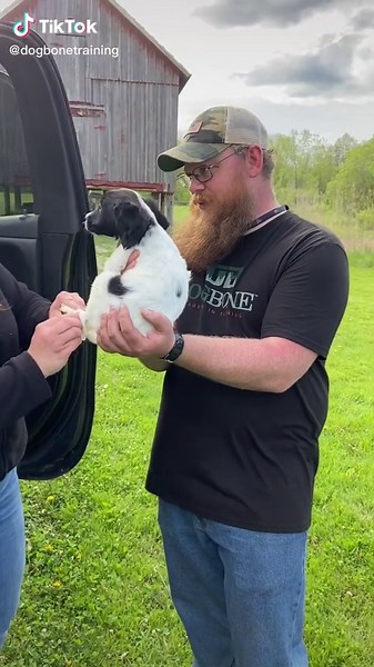 Meet Colt: Your Ultimate Guide to Dog Training and Tips