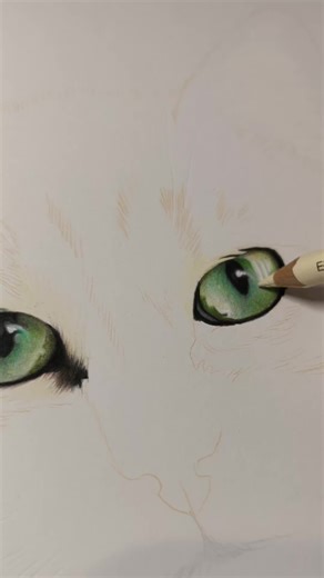 Vzniká ďalší realisticky portrét 🐈‍⬛.. part1 #art #drawing #fabercastell #umenie #part1