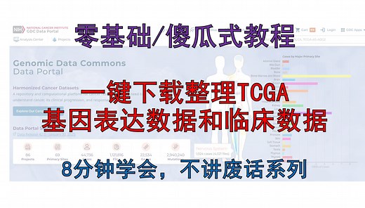 一键式教程：TCGA数据自动下载、整理，傻瓜式教程