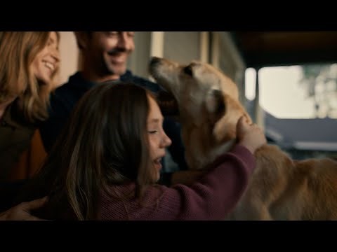 Search Party from Ring | Be A Hero In Your Neighborhood