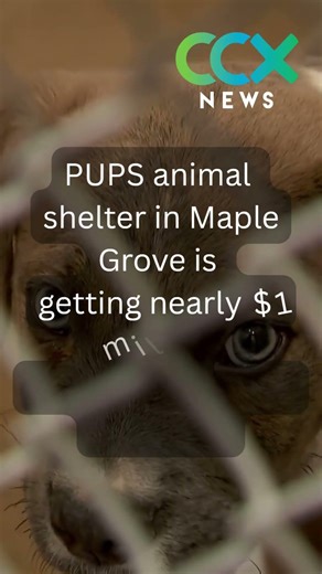 Nearly $1 Million in Federal Funding Obtained To Expand PUPS Animal Rescue Shelter