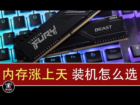 👍内存涨上天，装机怎么选？🟢内存涨疯了怎么破？别被内存涨价割韭菜！装机选DDR4还是DDR5？答案在这里🟢牛哥AI实验室 NIUGEE AI（210）
