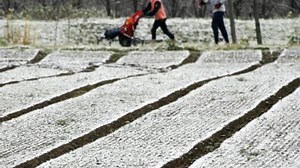 Die Geheimnisse einer glücklichen Partnerschaft