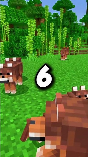 RÉCUPERE les 9 RACES de LOUPS sur MINECRAFT ! 🐺