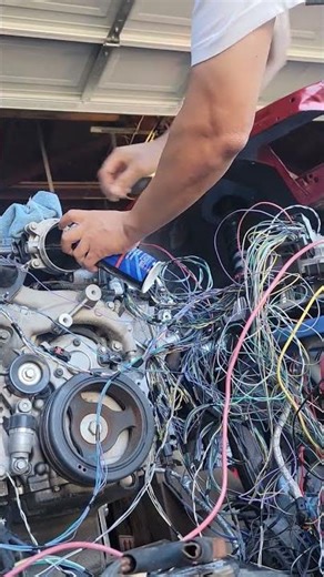 Lt1 6.2 standalone harness!! now i gotta clean up my wiring!!