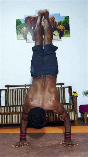 Master One Arm Tiger Bend Handstand Techniques