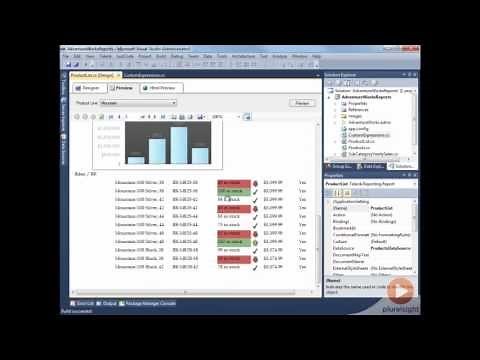 Report on Data With Custom Binding in Telerik Reporting