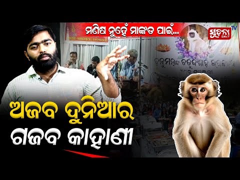 When Animals Become Family: Village Performs FULL Hindu Funeral For Monkey, Humanity Shocks Internet