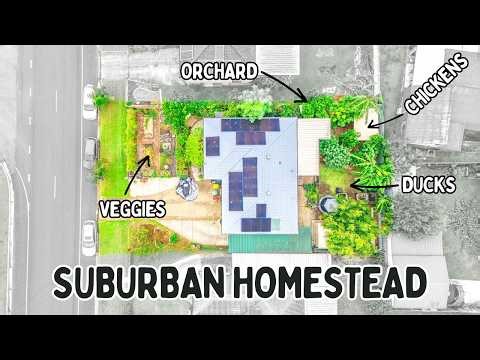 You Don't Need Acreage: Full Tour of a 600sqm Suburban Homestead