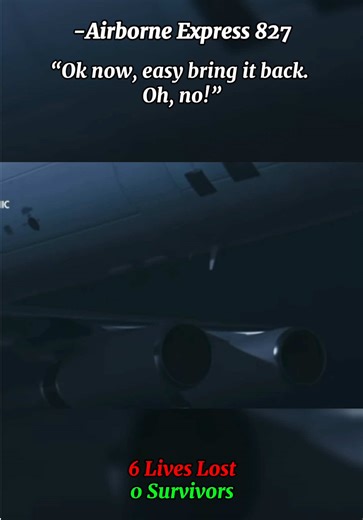 The Final Words Heard From Pilots - RIP to all 🕊️ #plane #aviation #airplane #quotes #animation