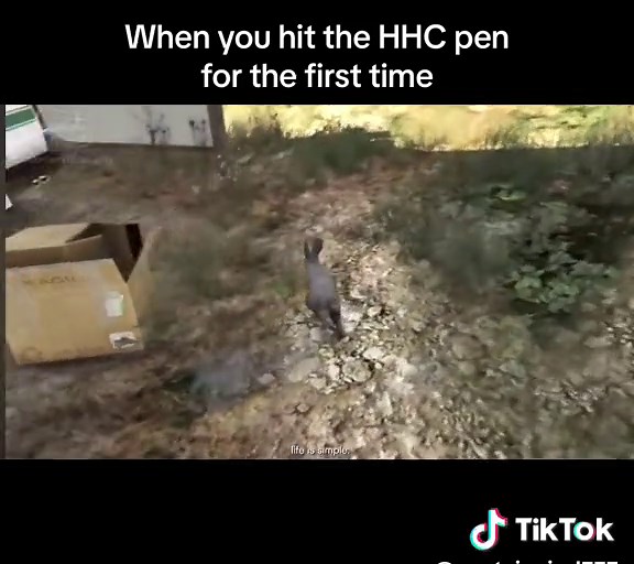 Rabbit Transformation in GTA 5