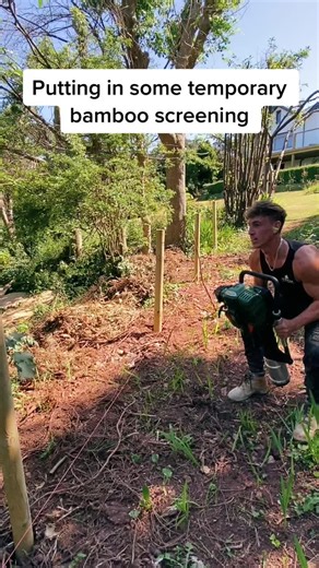 Installing Temporary Screening Fencing for Landscaping