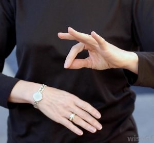 What is semantics in ASL?